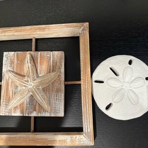 Rustic Starfish and Sand Dollar Wall Decor